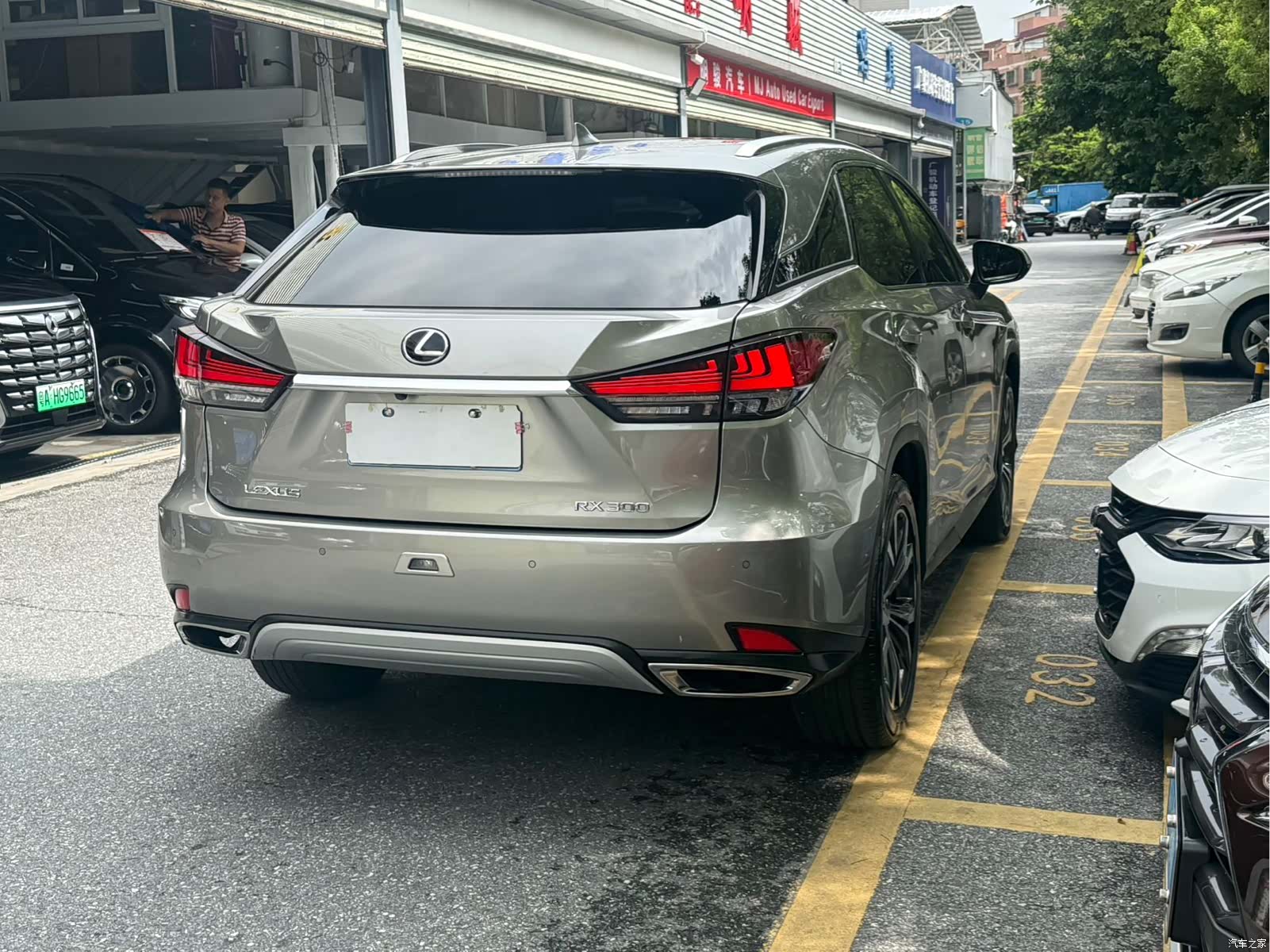 Lexus RX, 2021 все фото