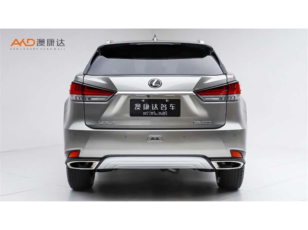 Lexus RX, 2020 4