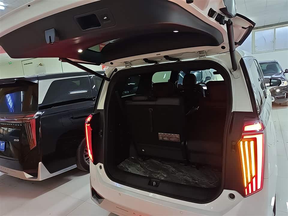 Trumpchi Trumpchi M8