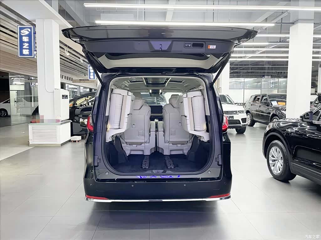 Lexus LM, 2024 14
