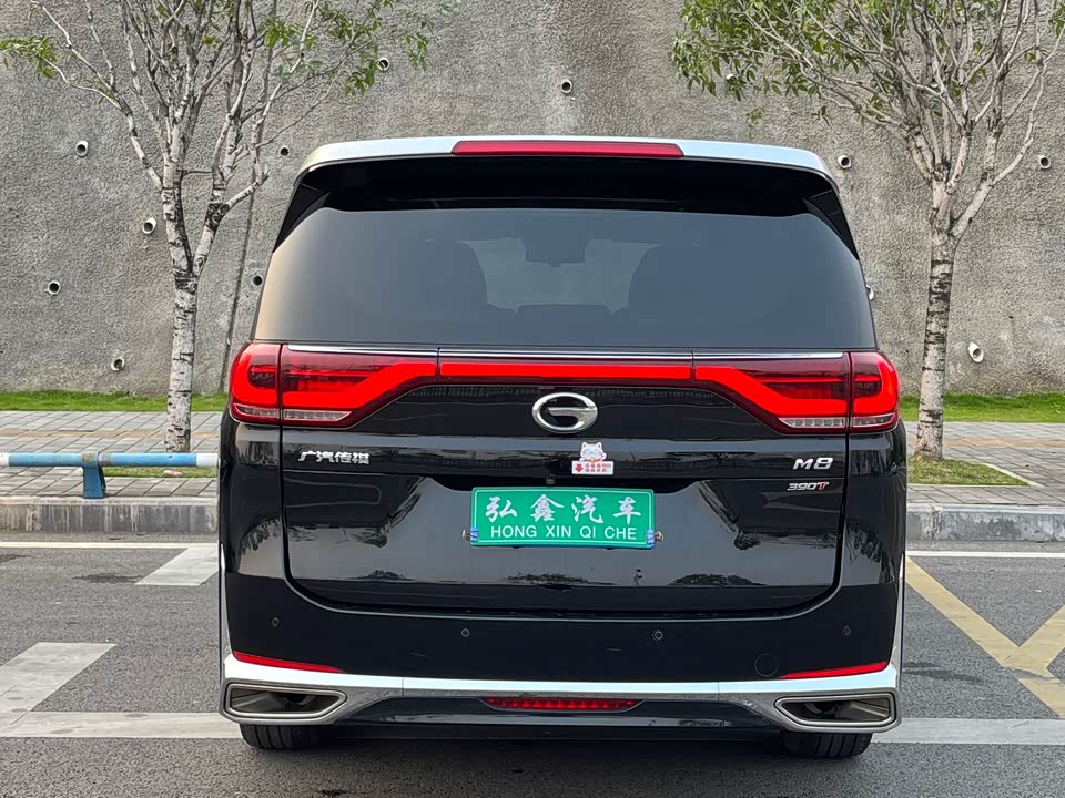 Trumpchi Trumpchi M8