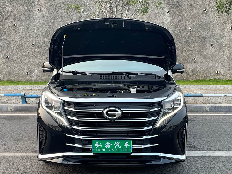 Trumpchi Trumpchi M8