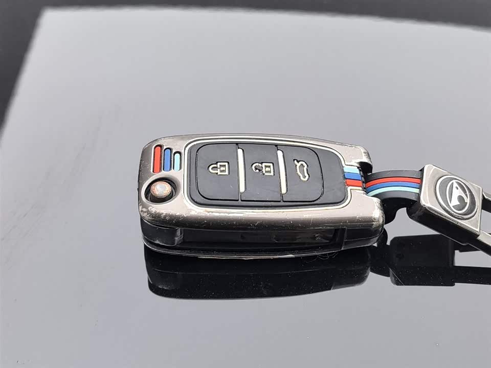 Leopaard Cheetah CS10