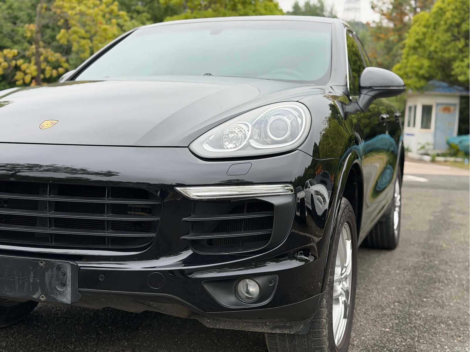 Cayenne Platinum, 2017 3