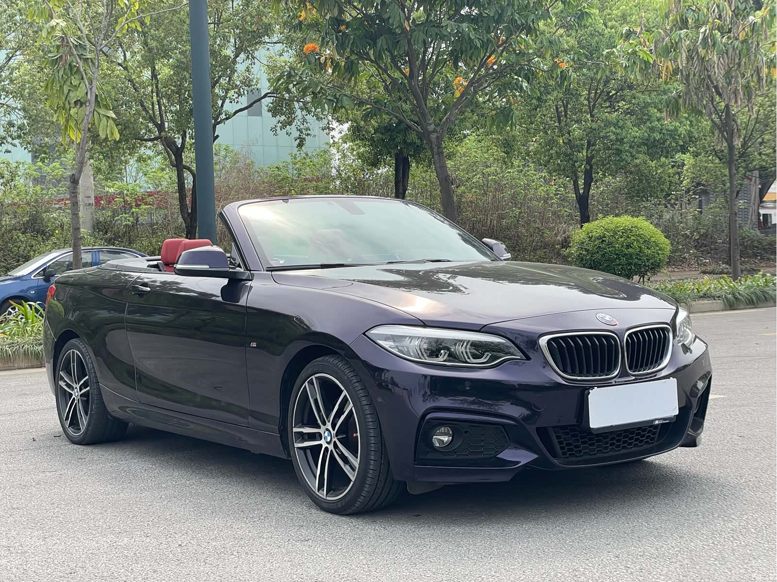 BMW 2 Series, 2019 3