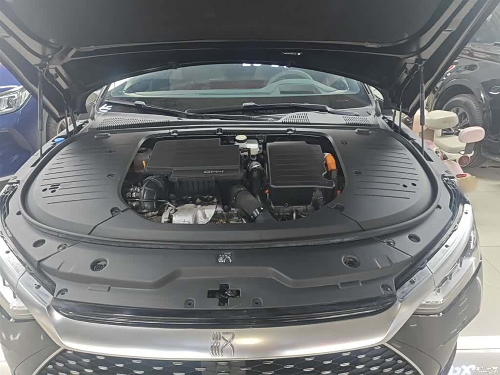 BYD Han, 2024 20