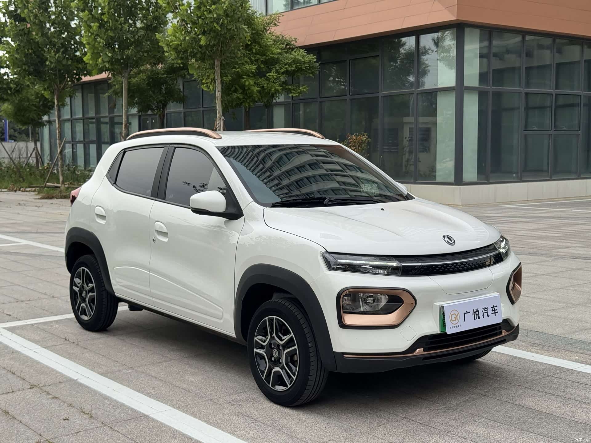 DongFeng EX1, 2023 3