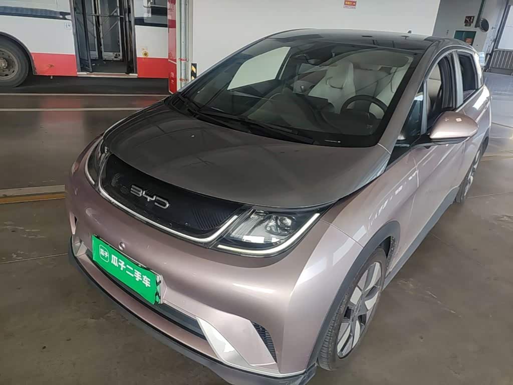 BYD Dolphin 2021 401km