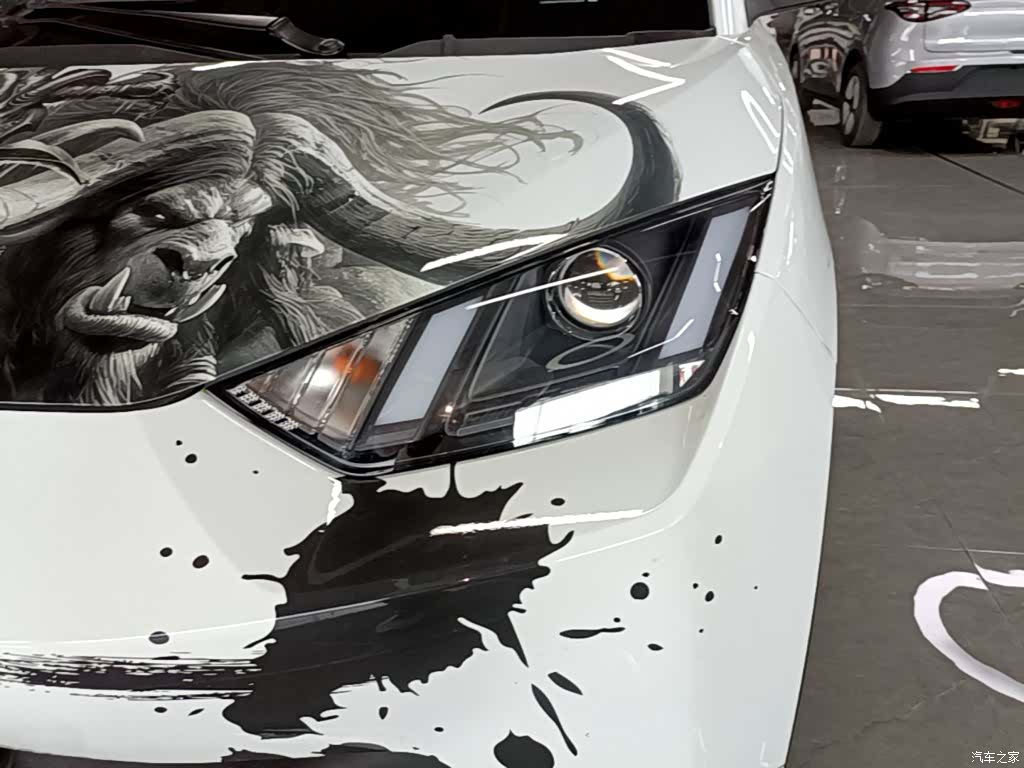 BYD Seagull, 2023 24