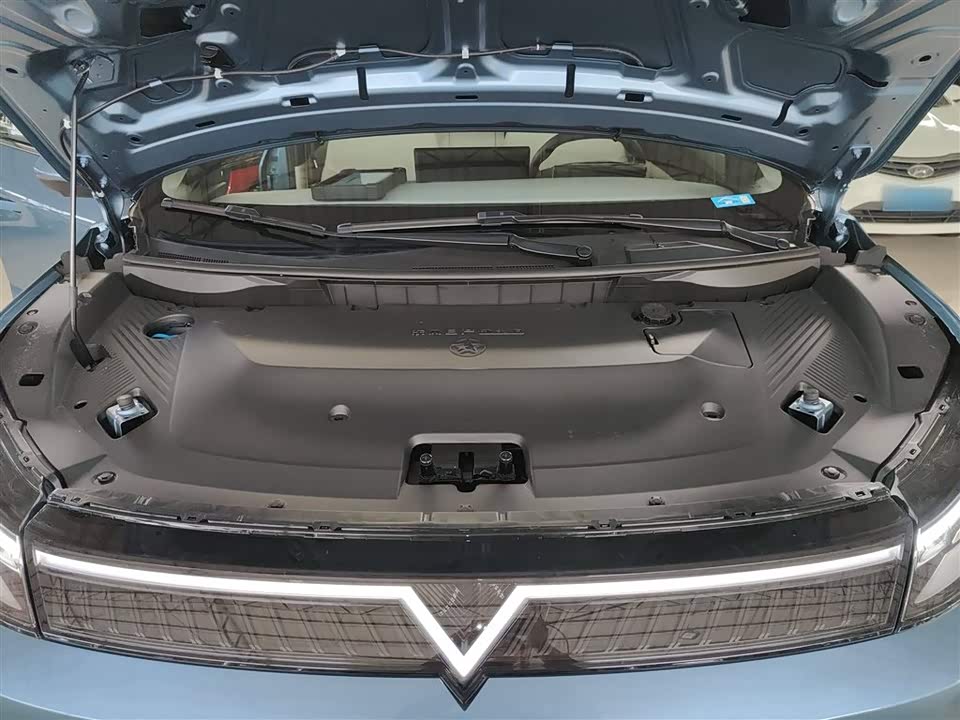 Venucia VX6