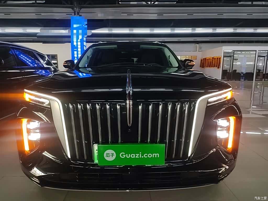 Hongqi E-HS9, 2023 3