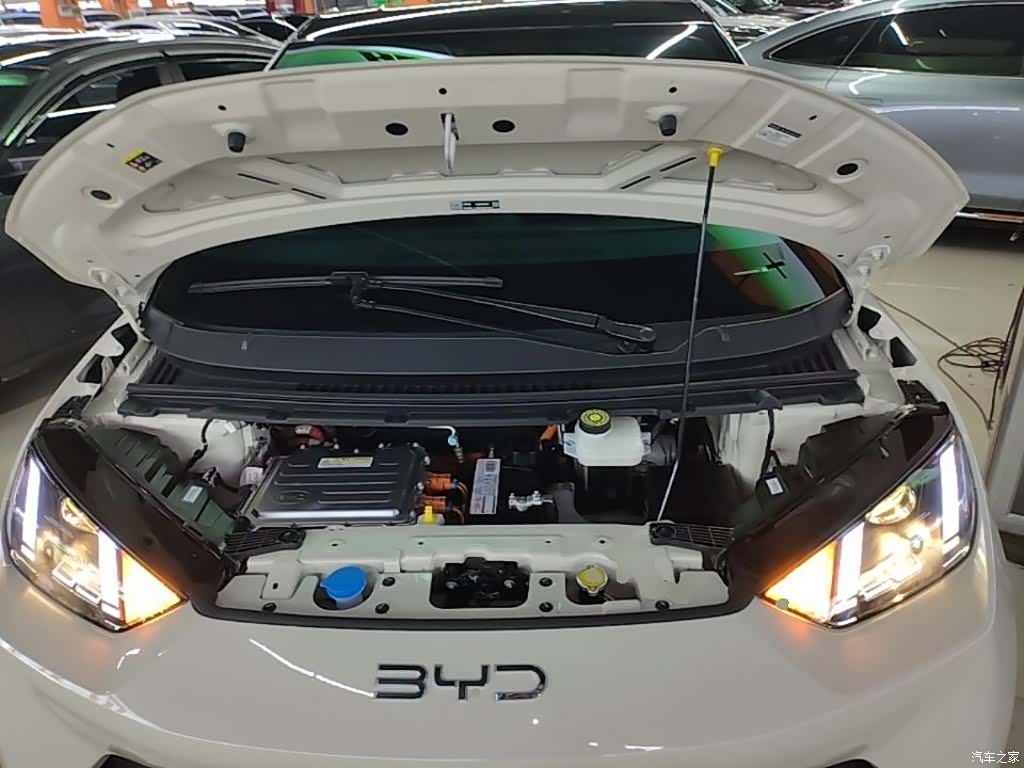 BYD Seagull, 2025 20