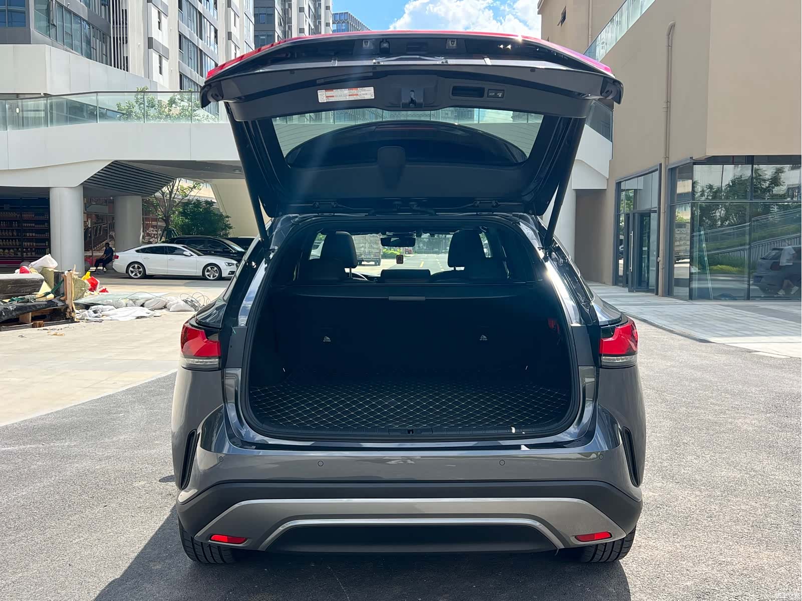 Lexus RX, 2023 19