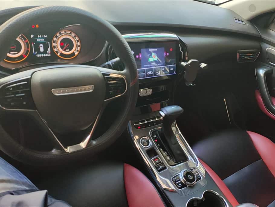 Leopaard Cheetah CS9