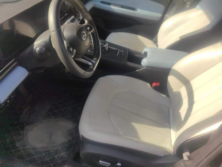 Trumpchi Shadow Leopard