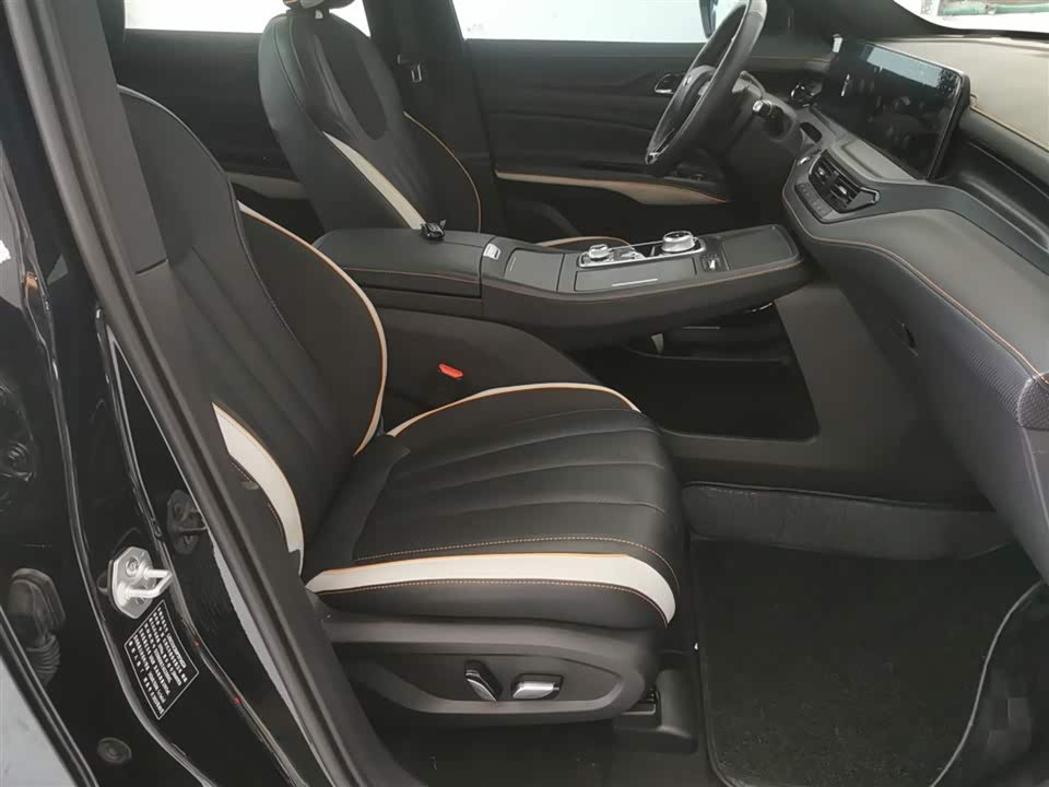 Ford Lingyu