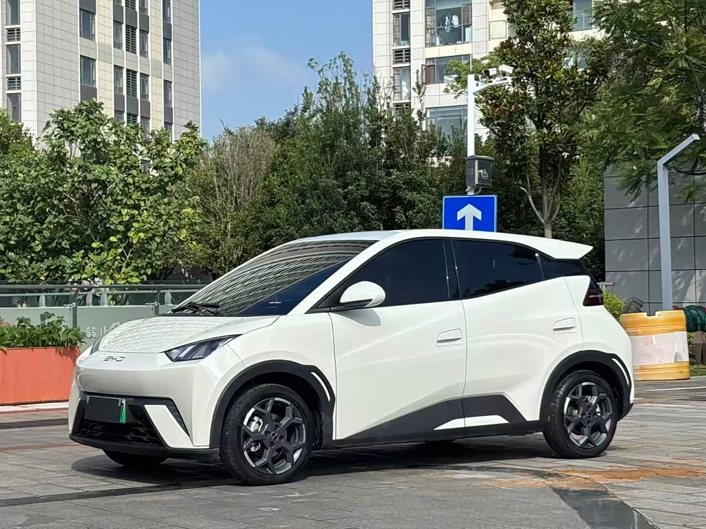 BYD Seagull