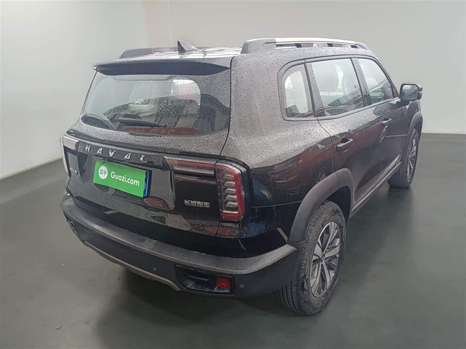 Haval Big dog