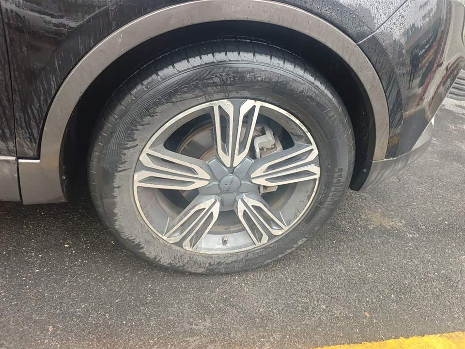 Leopaard Cheetah CS10