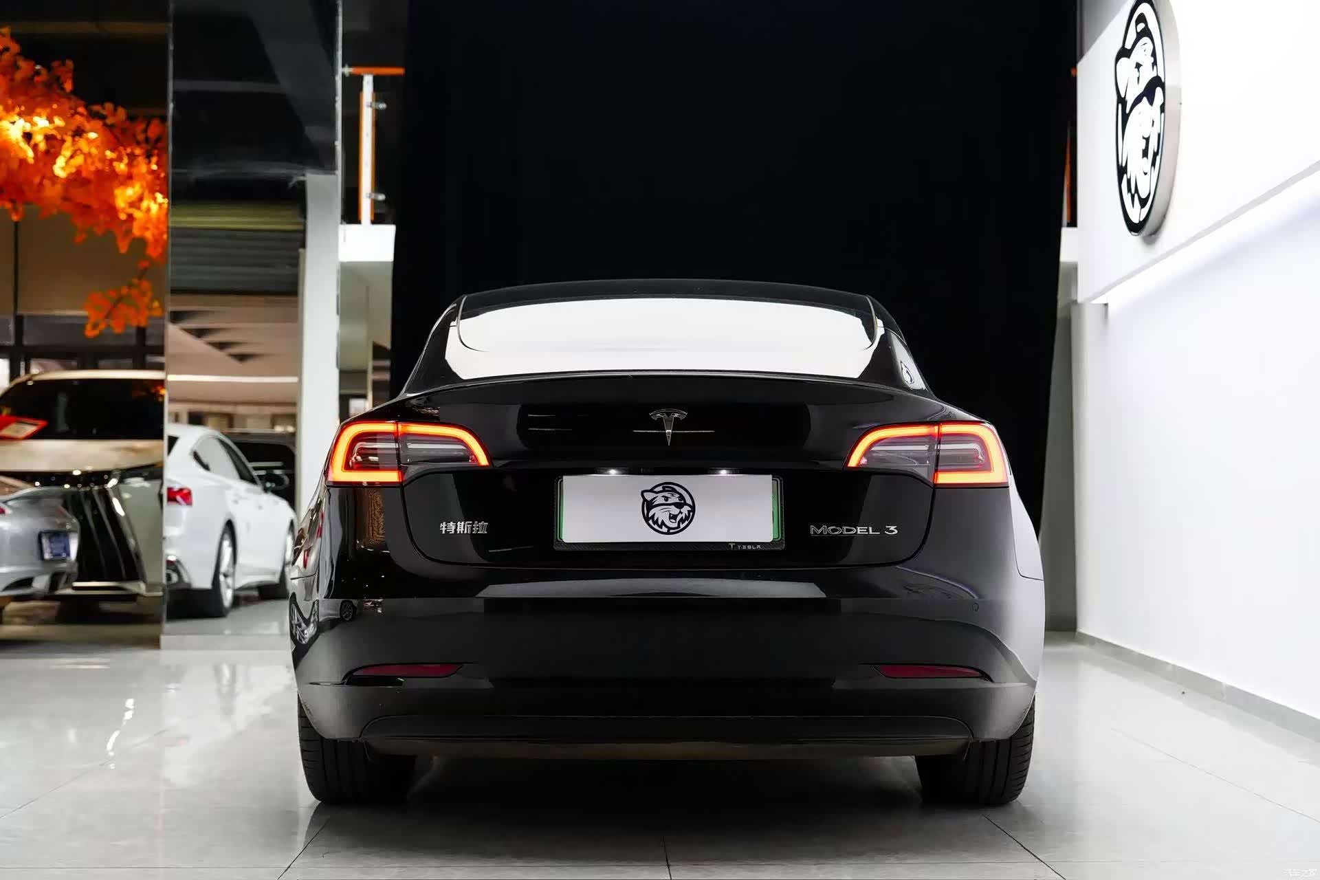 Tesla Model 3, 2023 8