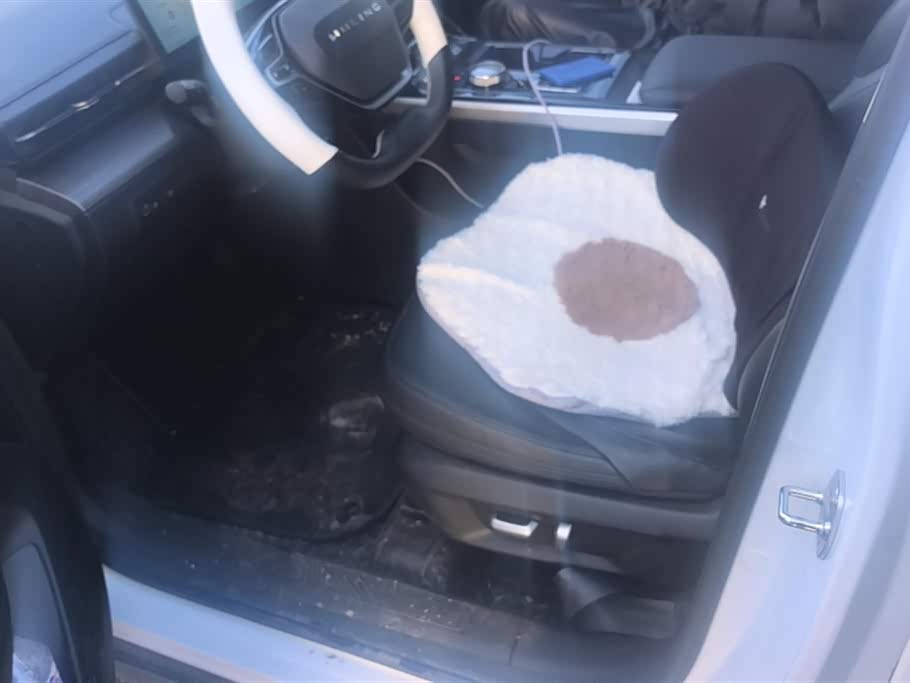 Wuling Wuling Starlight