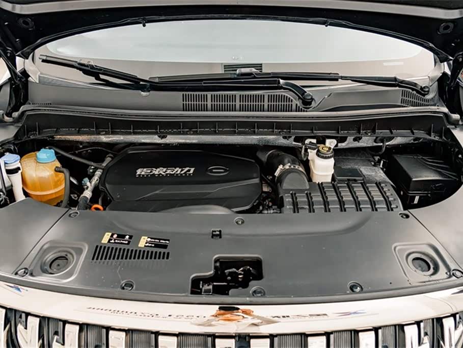 Trumpchi Trumpchi M8