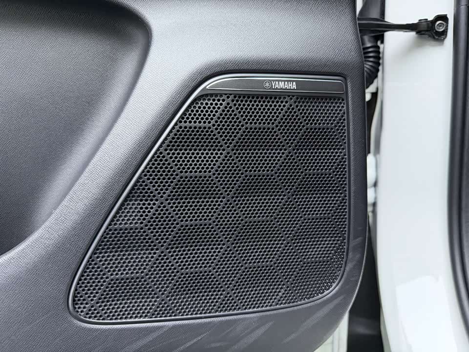 Trumpchi Trumpchi E9