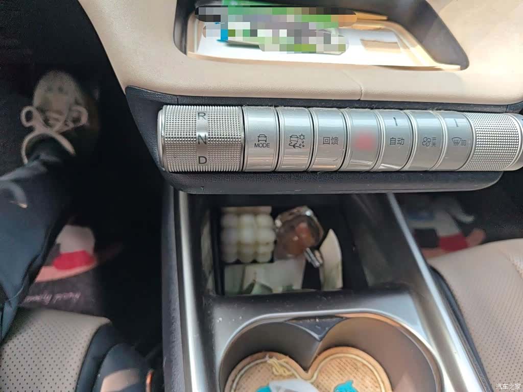 BYD Dolphin, 2024 7