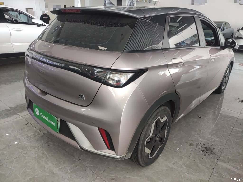 BYD Dolphin, 2022 7