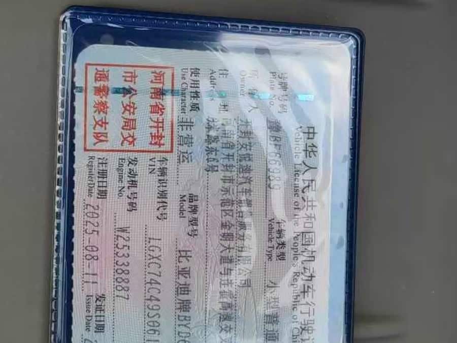 BYD Hai Shi 06 2025, фото 14