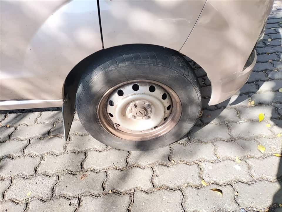 Jinbei Little Sea Lion X30