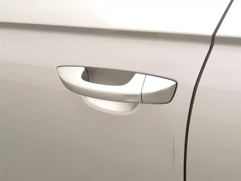 Volkswagen C-TREK Wei Collar