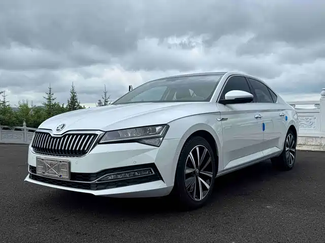 Škoda Speed pie 2022 — купить из Китая под заказ