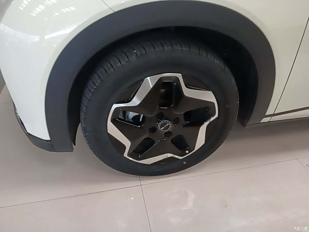 BYD Dolphin, 2023 25