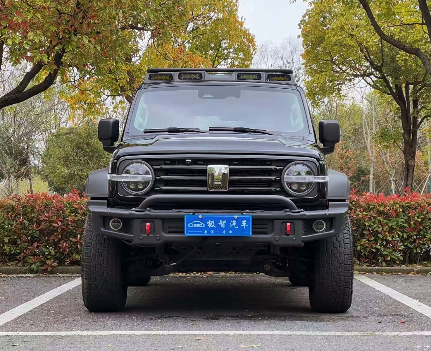 Tank 300, 2022 2