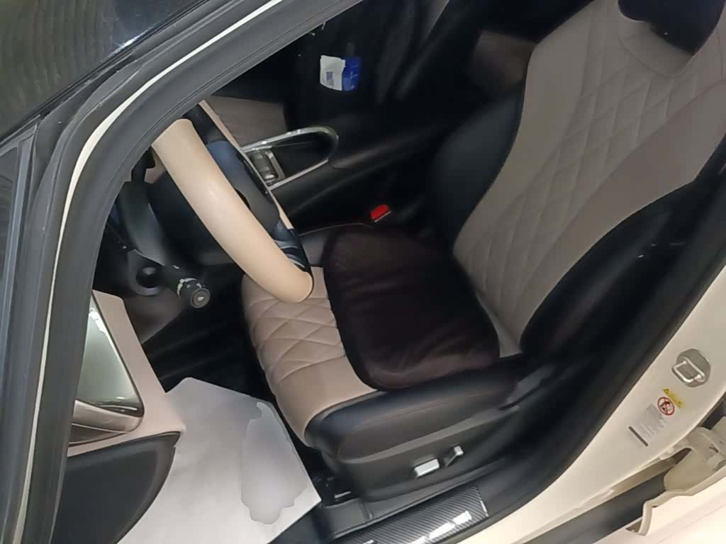 BYD Dolphin, 2023 11