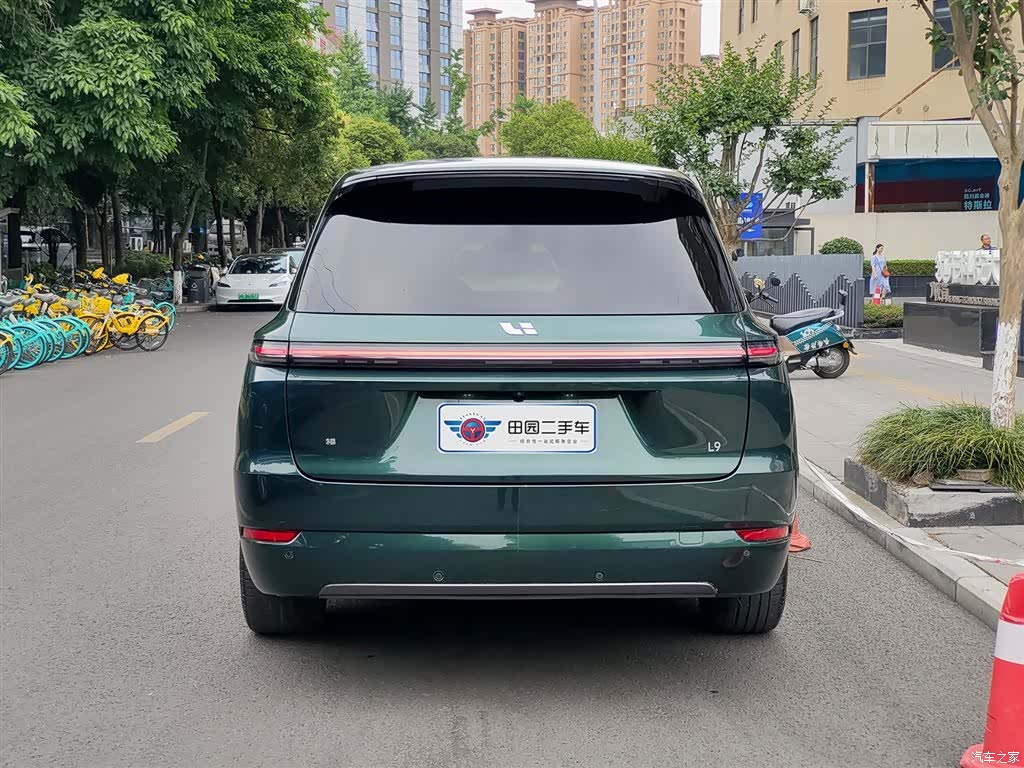 Li Auto L9, 2023 все фото