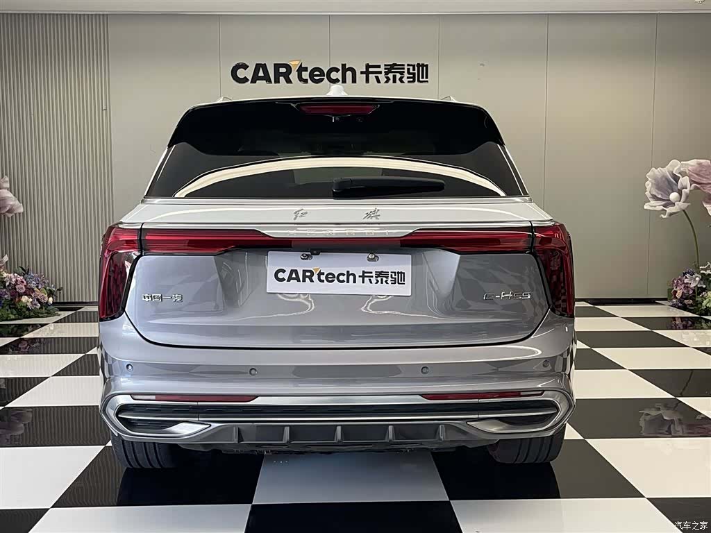 Hongqi E-HS9, 2022 6