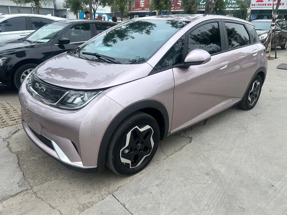 BYD dolphin