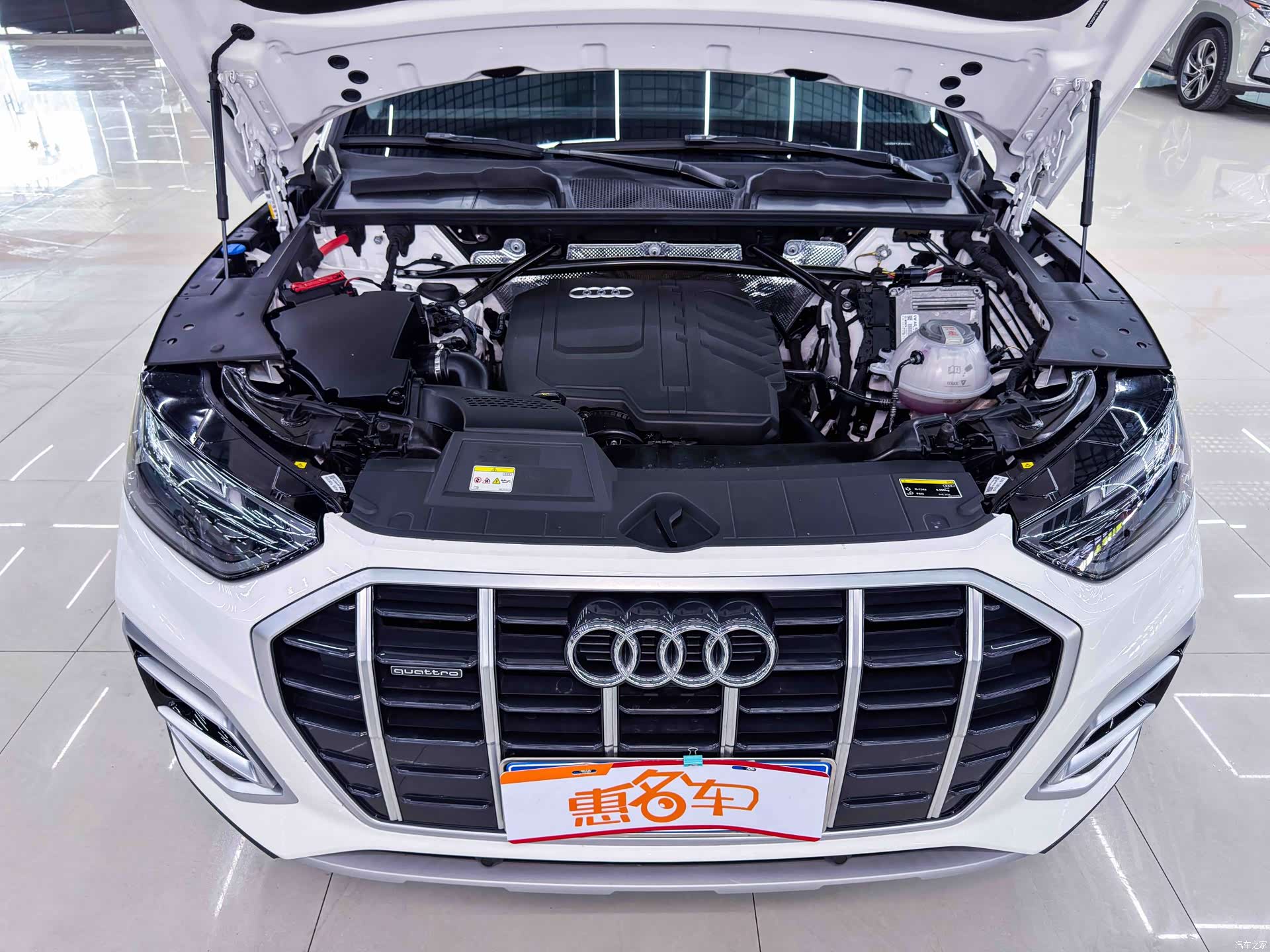 Audi Q5L, 2023 все фото