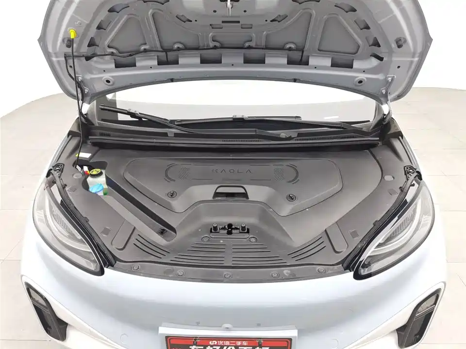 ARCFOX Polar fox koala