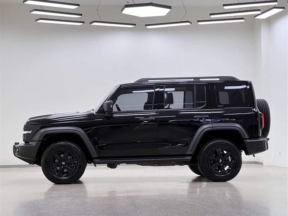 Tank 300