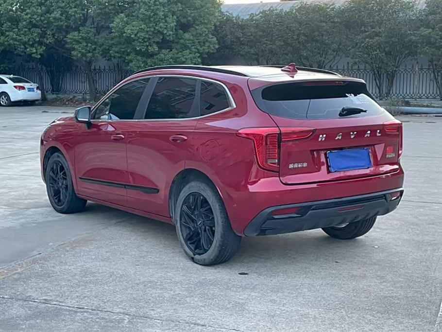 Haval First love