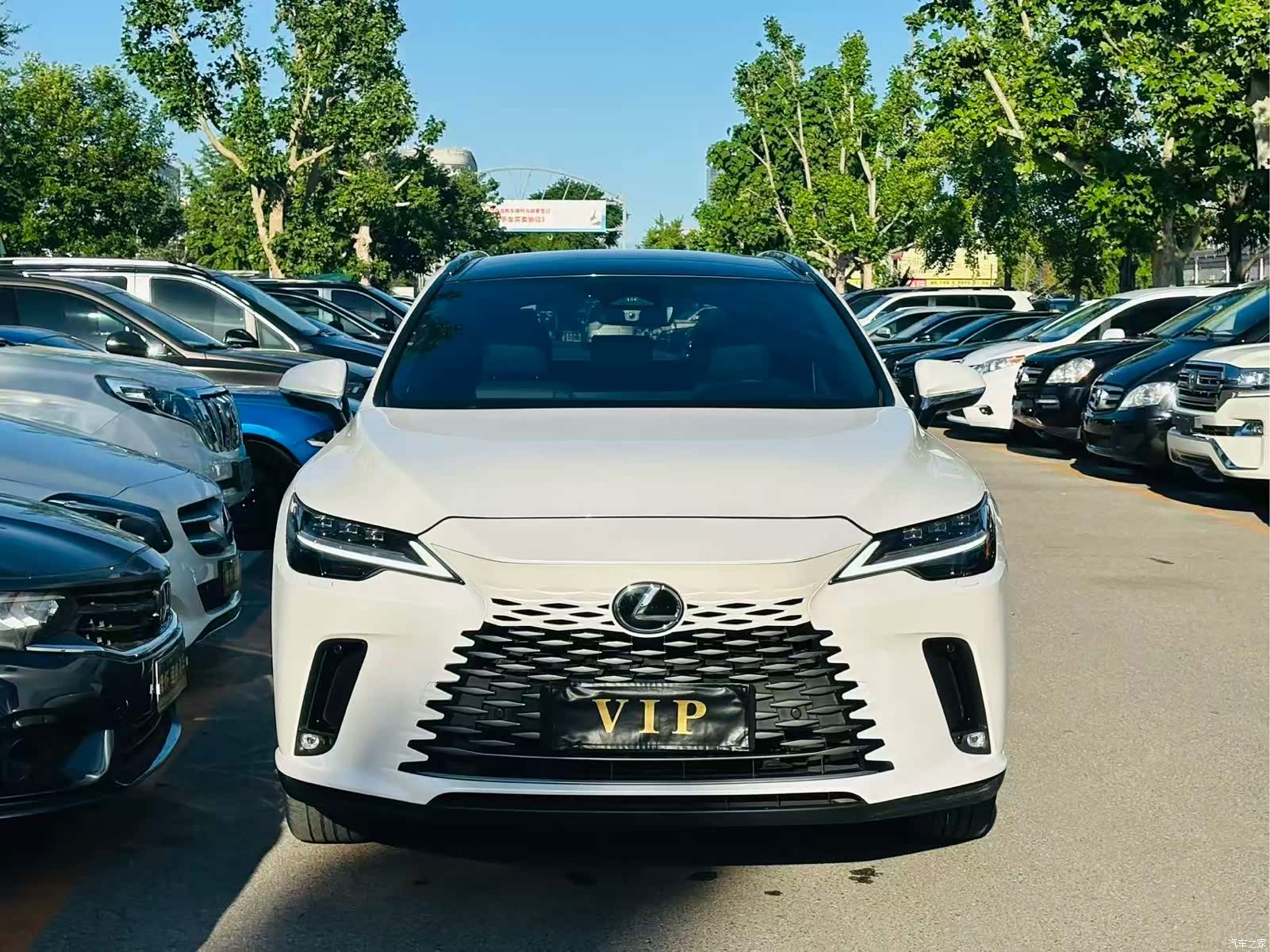 Lexus RX, 2023 2