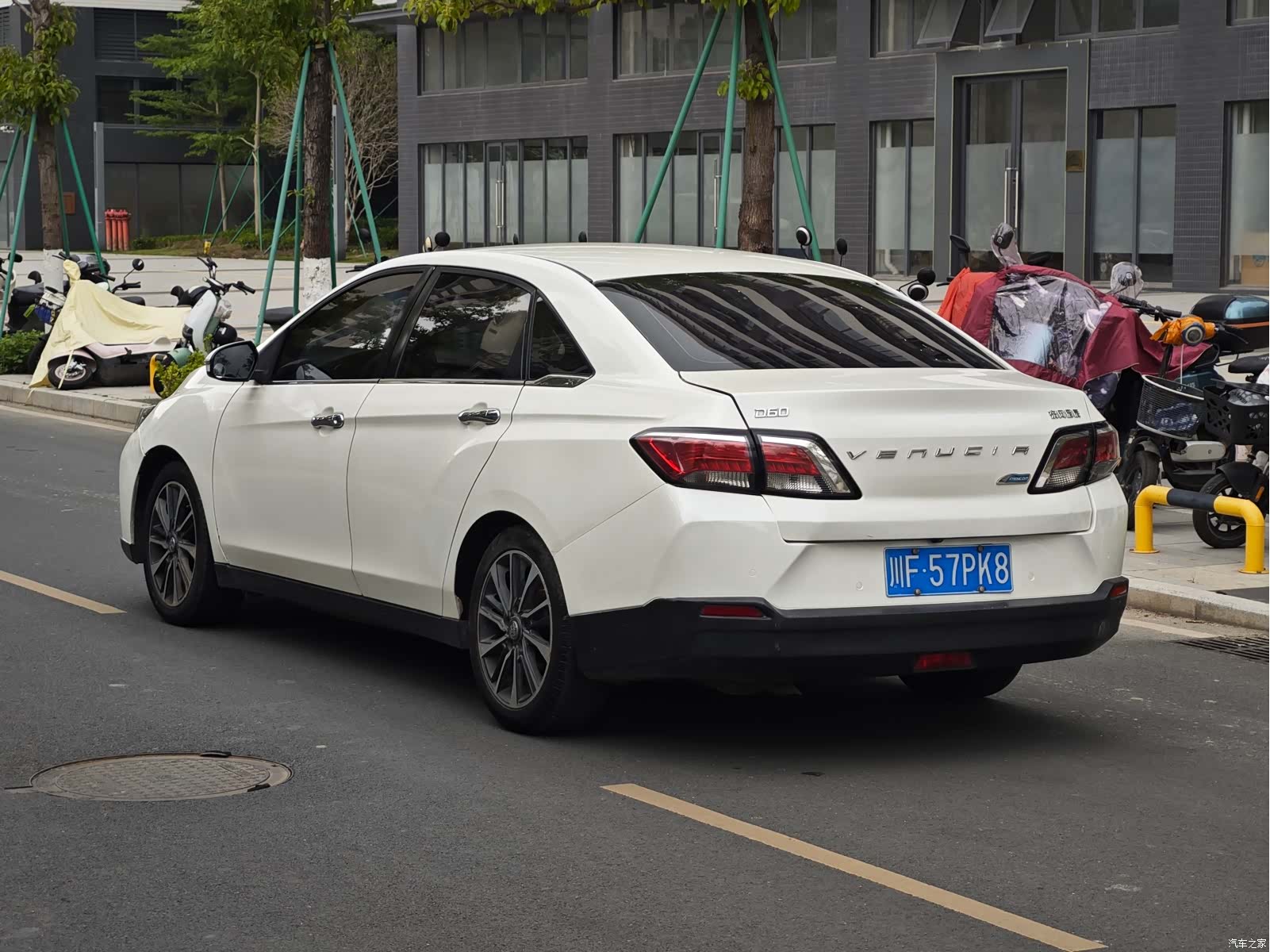 Nissan D60, 2019 3