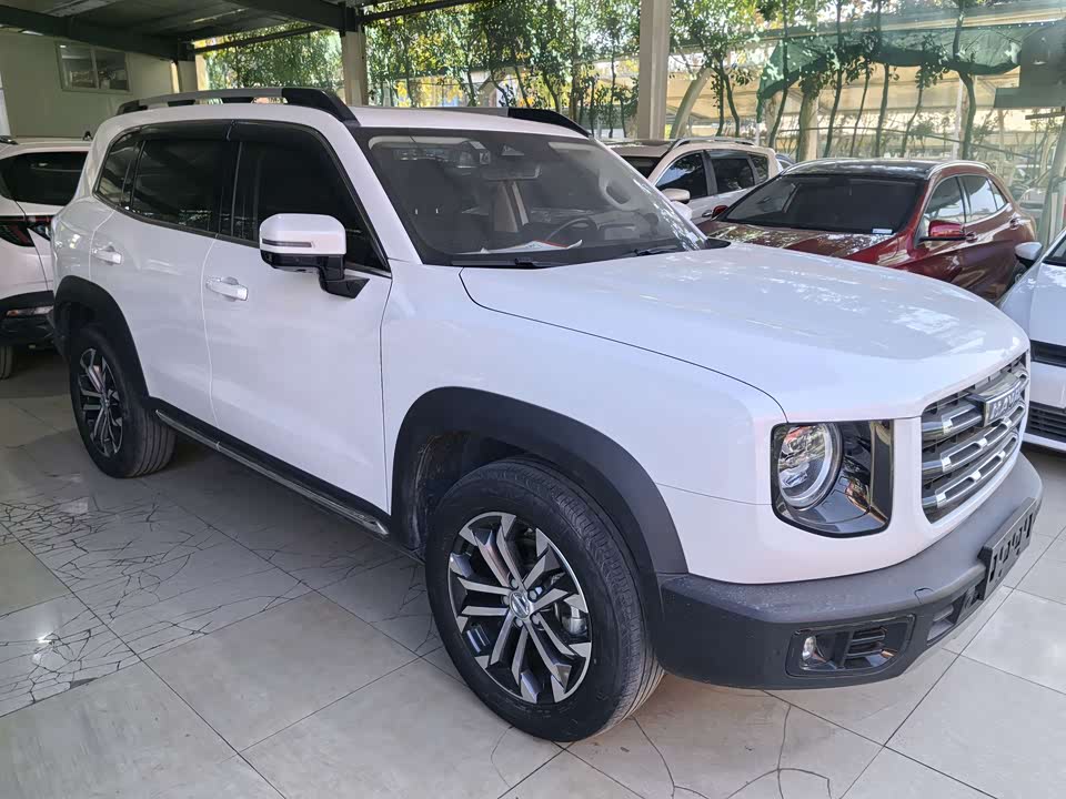 Haval Big dog
