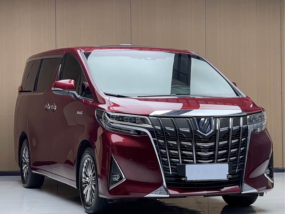 Toyota Elfa