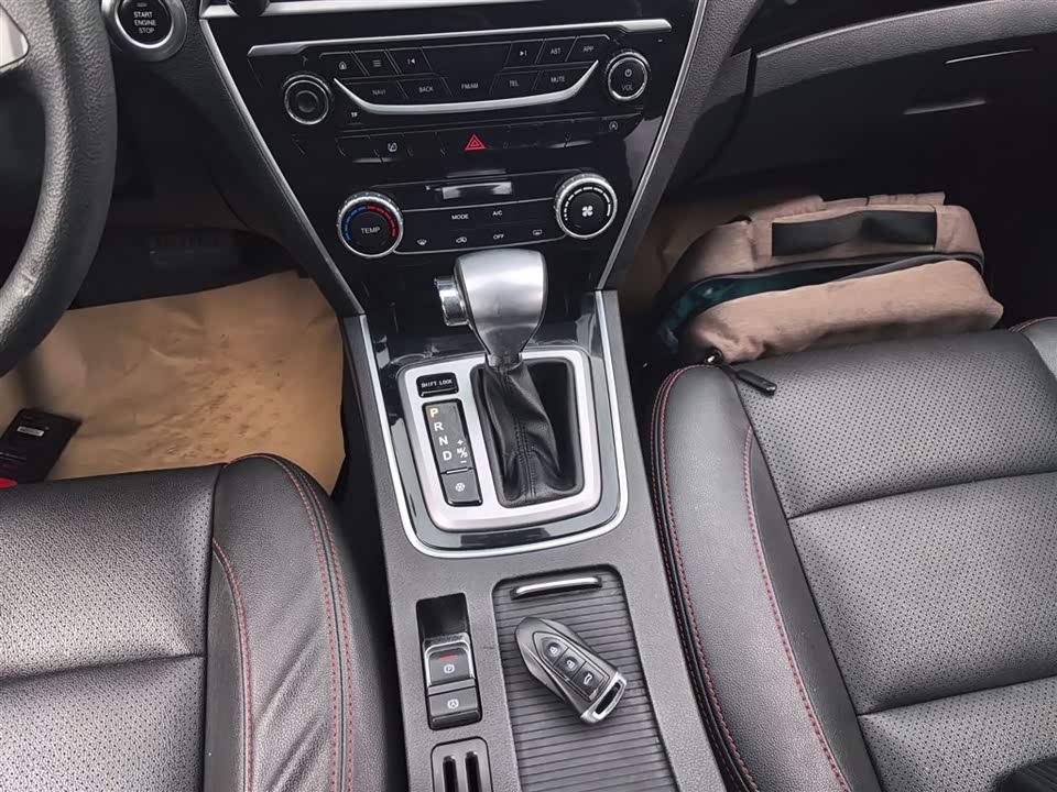 Leopaard Cheetah CS10