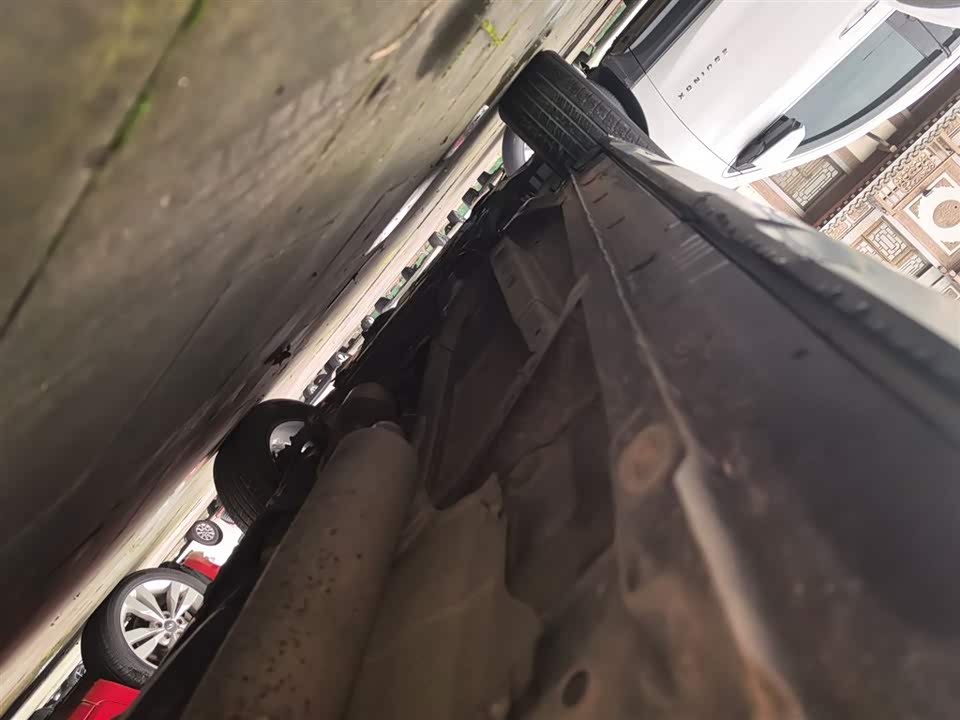 Leopaard Cheetah CS10