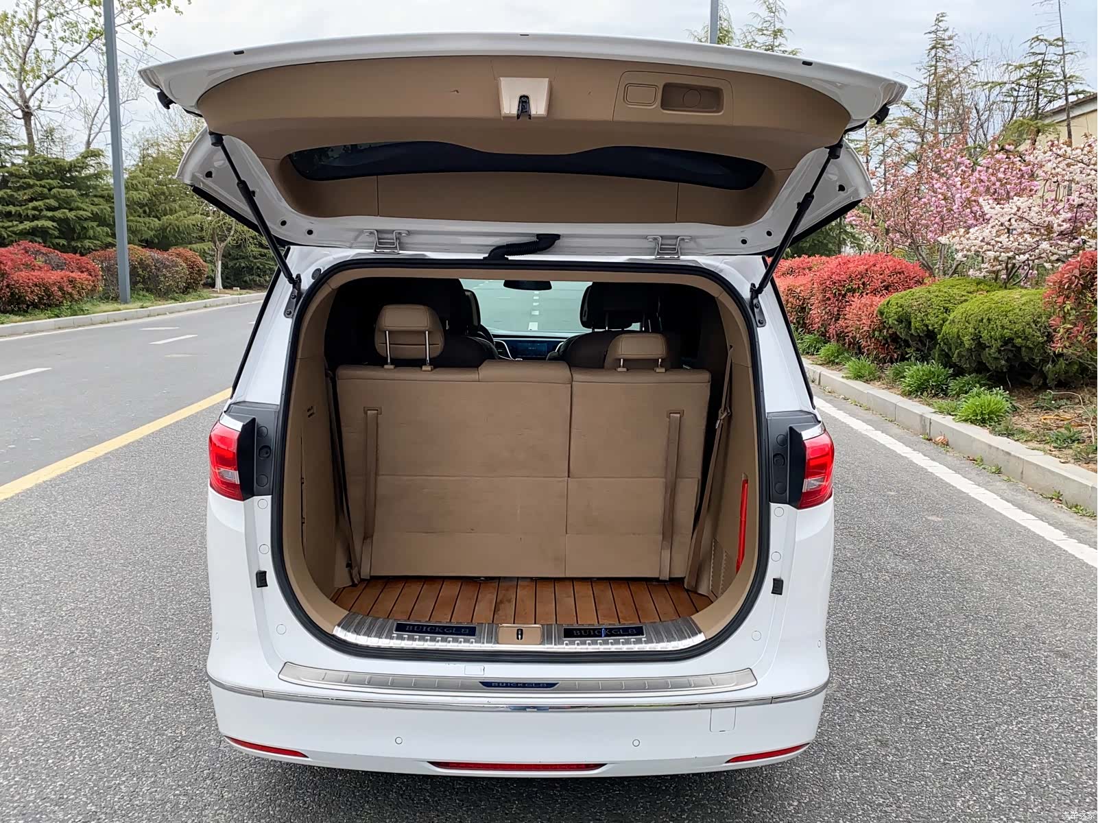 Buick GL8, 2018 21